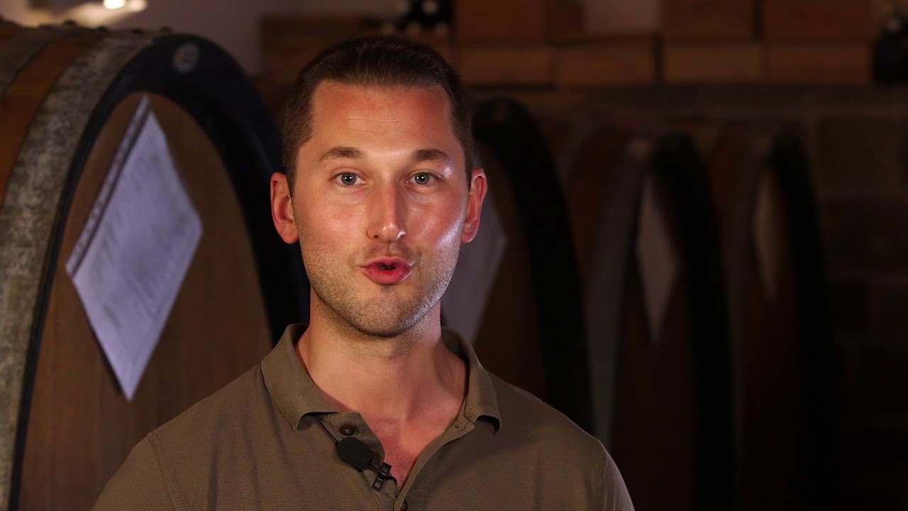 Vignaioli Specogna | Il Pinot Grigio Ramato