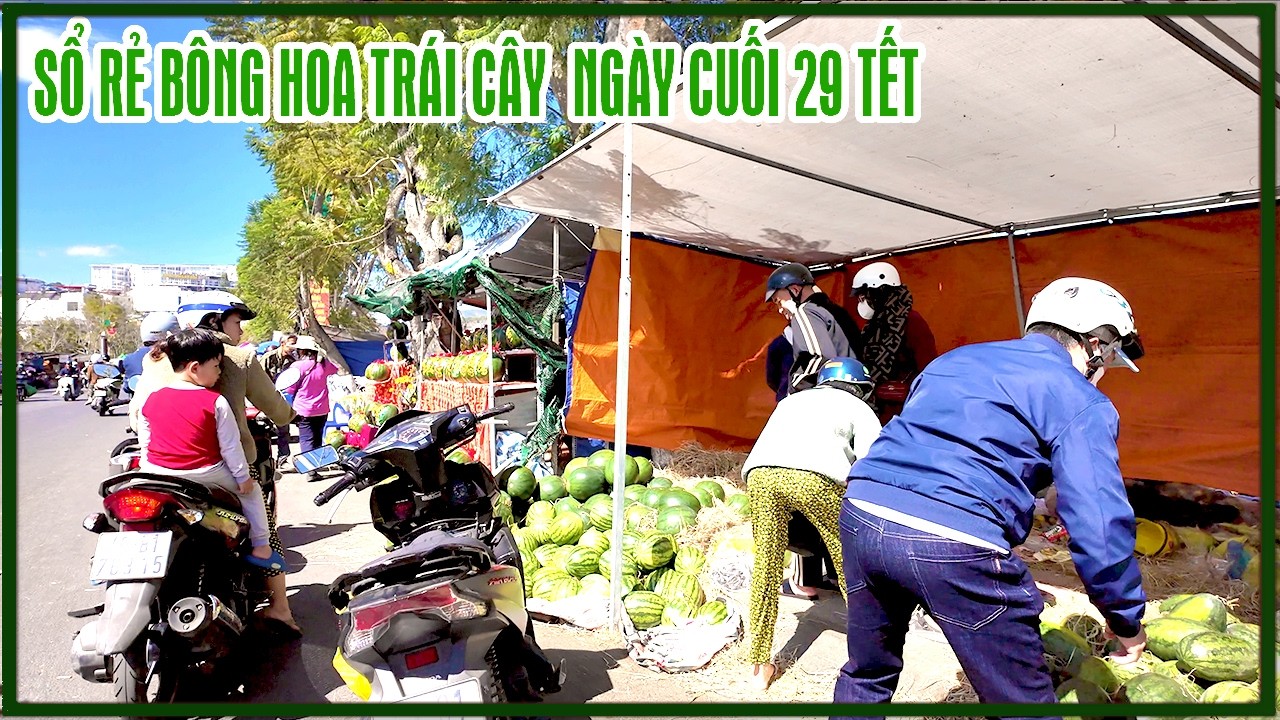 Đà Lạt 29 Tết: Sổ rẻ như cho, bông hoa Tết ngập tràn NGƯỜI MUA ÍT | TẾT BÍNH NGỌ 2026