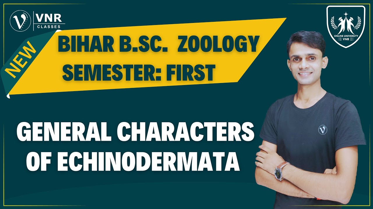 (19) GENERAL CHARACTERS OF ECHINODERMATA | BIHAR B.Sc. SEMESTER- I, ZOOLOGY