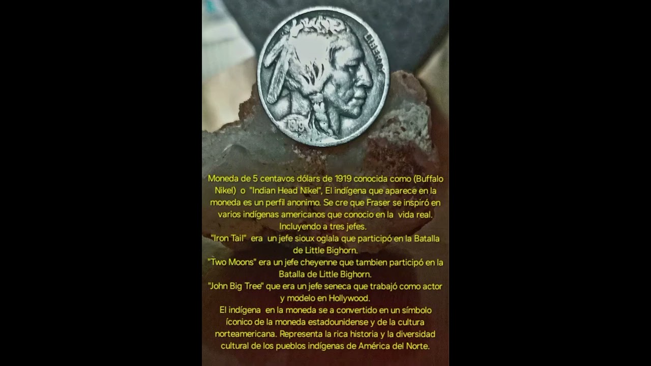 Moneda de 5 centavos dólars 1919 conocida como )Buffalo Nikel)  o  "Indian Head Nikel "