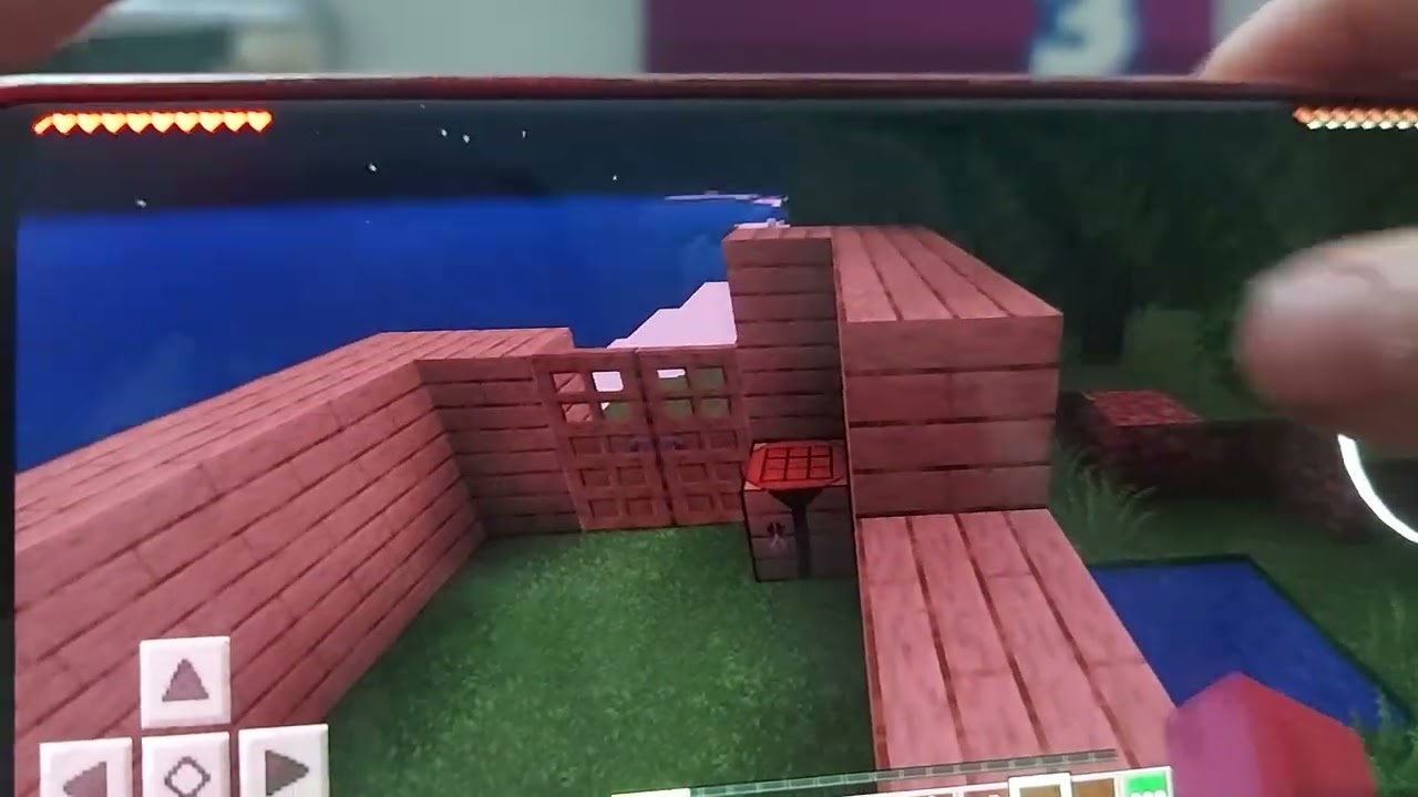 Minecraft oynuyoruz