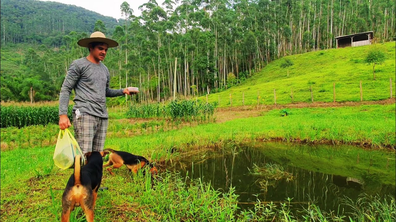 ACONTECEU NOVAMENTE NO SÍTIO, TEREI QUE BUSCAR NOVA ALTERNATIVA + CHEGARAM OS PEIXES