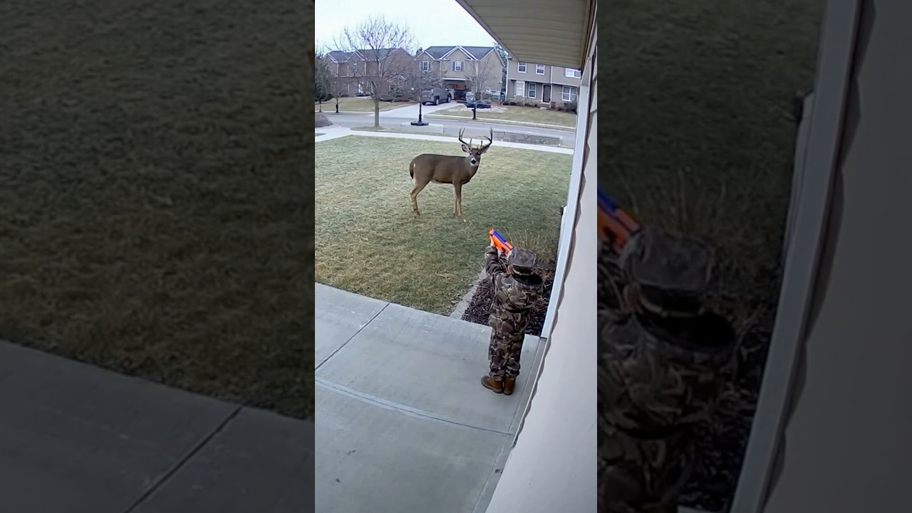 Well, he almost got that buck! 😂😂 #hunting #deer #outdoors #funny #meme  #deerhunting #whitetail