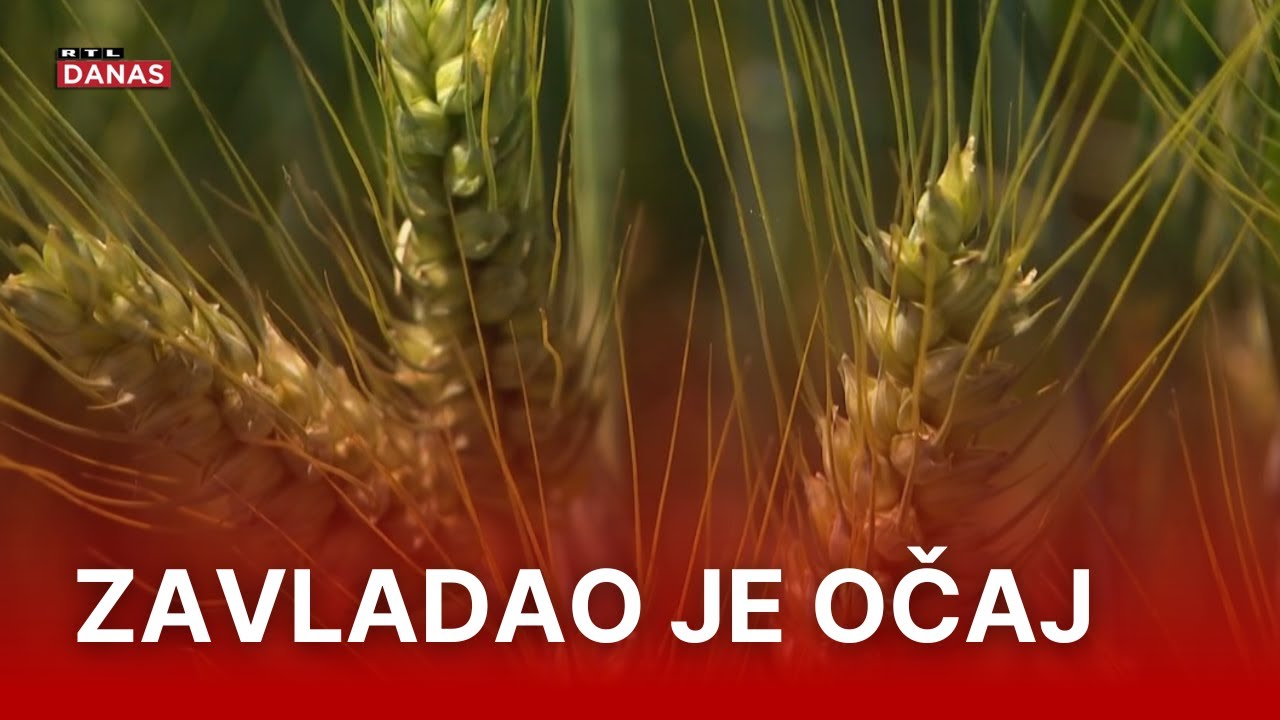 Slavonci pred kolapsom, traže spas: 'Doslovce smo umrli, ali nam to nitko nije rekao' | RTL Danas