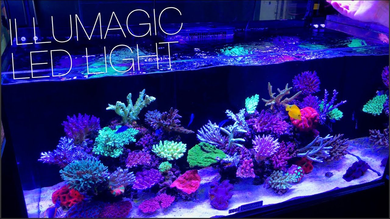 Illumagic Makes Some Really Cool LED Lights!