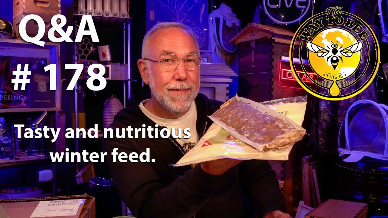 Backyard Beekeeping Questions and Answers Episode 178, what to feed in winter and how, Bee Movie?