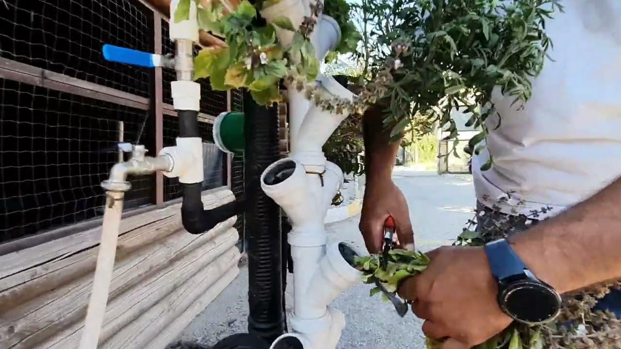 güneş enerjisi ile çalışan topraksız dikey tarım sistemleri
