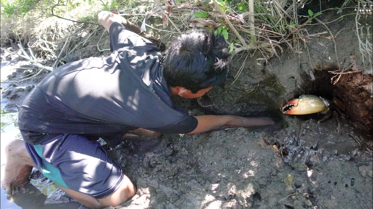 Catching Mud Crabs In Holes after Water Low Tide | Hunting Sea Crabs | Fishing SKills