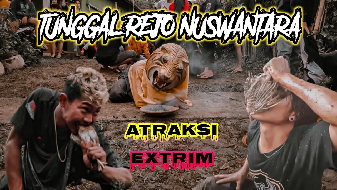 Atraksi EXTRIM takut jangan liat,bantengan TUNGGAL REJO NUSWANTARA live mbocek KARANG PLOSO