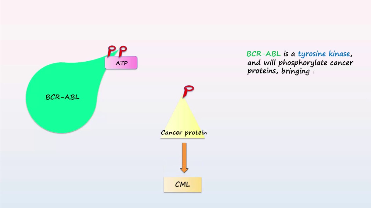 Philadelphia Chromosome, Translocations, Inversions, Deletions