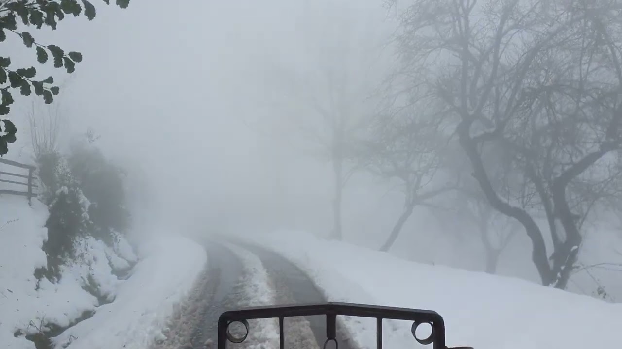 düzce çamlıbel köyü