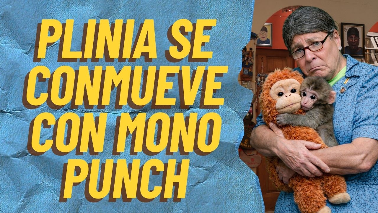 Plinia se conmueve por el MONITO PUNCH | 24 febrero 2026