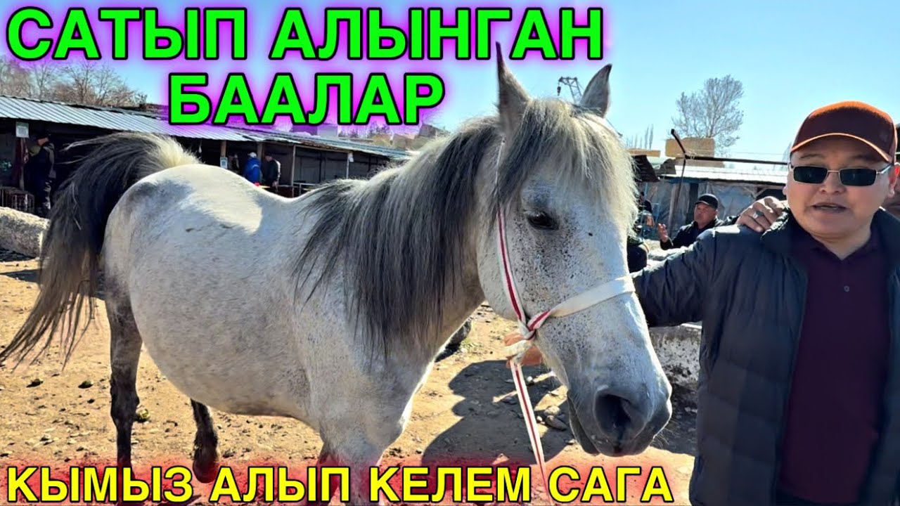 8 МИҢ ПАЙДА БЕРИП АЛДЫМ ӨЗГӨН БАЗАРЫ #байтв 