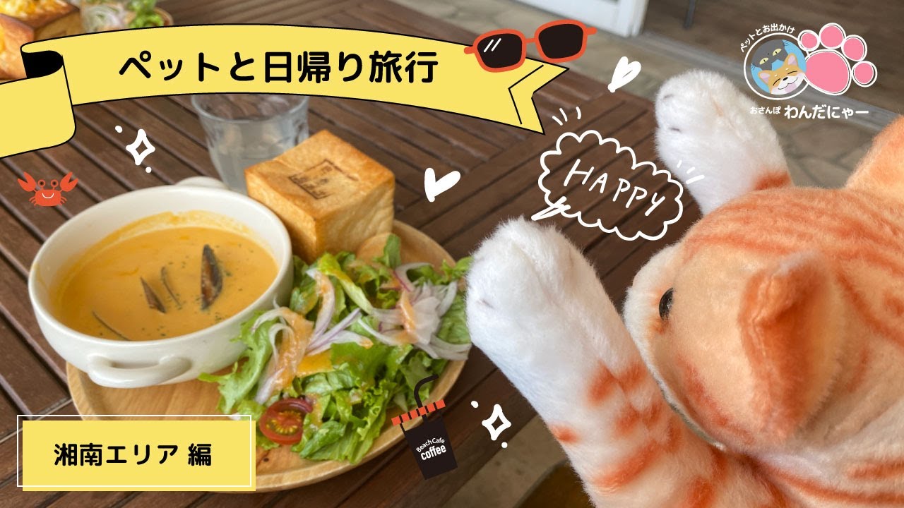 【絶品絶景】湘南エリアで日帰りおすすめ旅行【