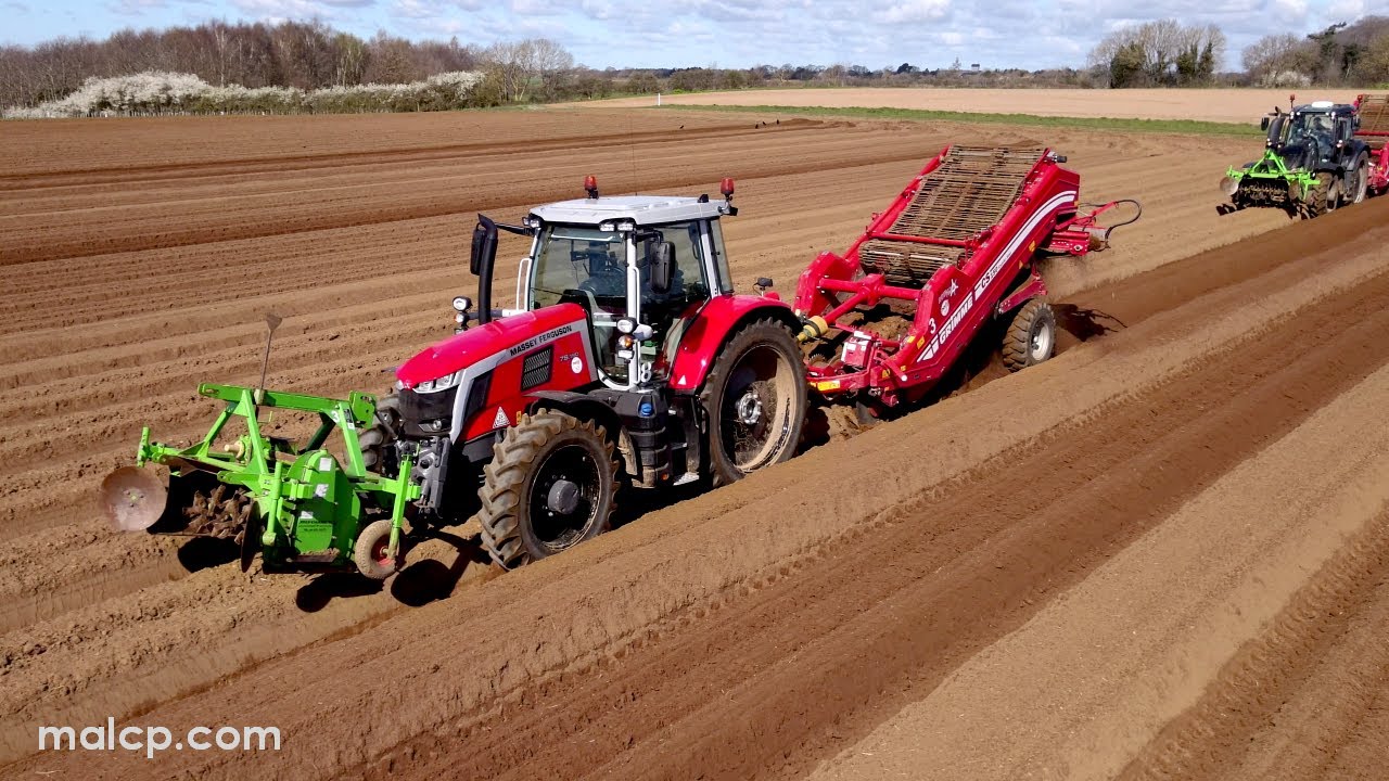 4k Foskett Farms 9 tractors potato planting in Hemley, Suffolk, 2023, Massey Ferguson Valtra Grimme