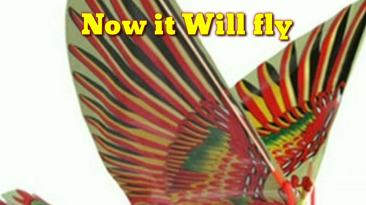 Ornithopter Rubber Band Power || Flying Bird 🐦 Handmade 🐦