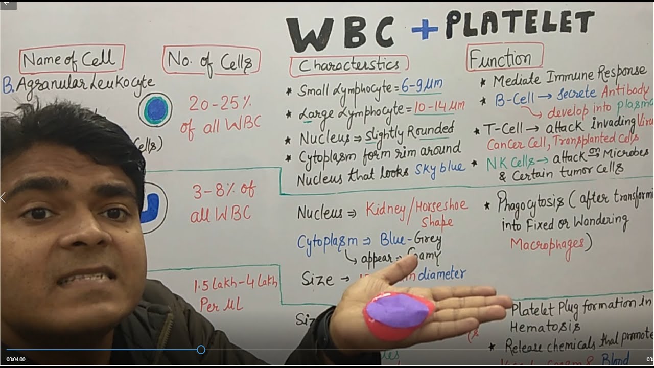 WBC in Hindi- Part -2| White blood cell | Agranulocyte | Platelet | GPAT | NEET Biology | BPharm