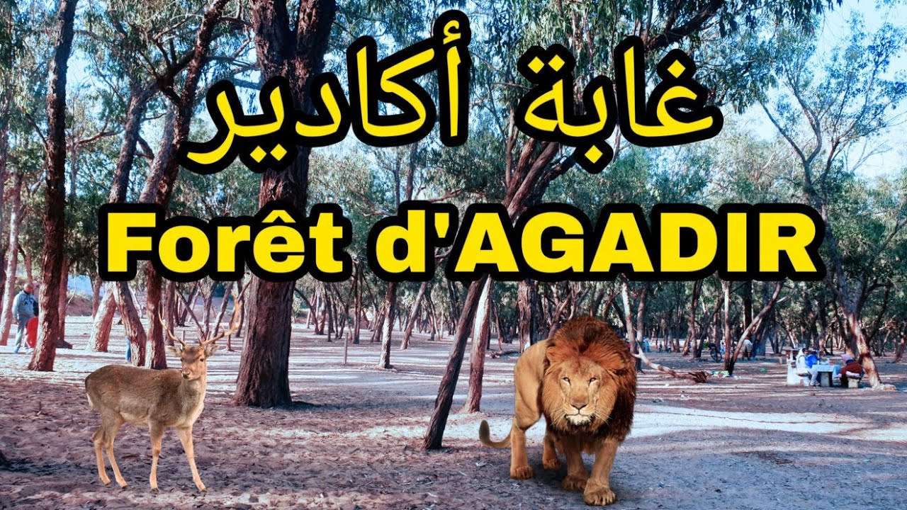 Forêt et Souss Park Agadir غابة سوس أكادير و منتزه سوس بارك