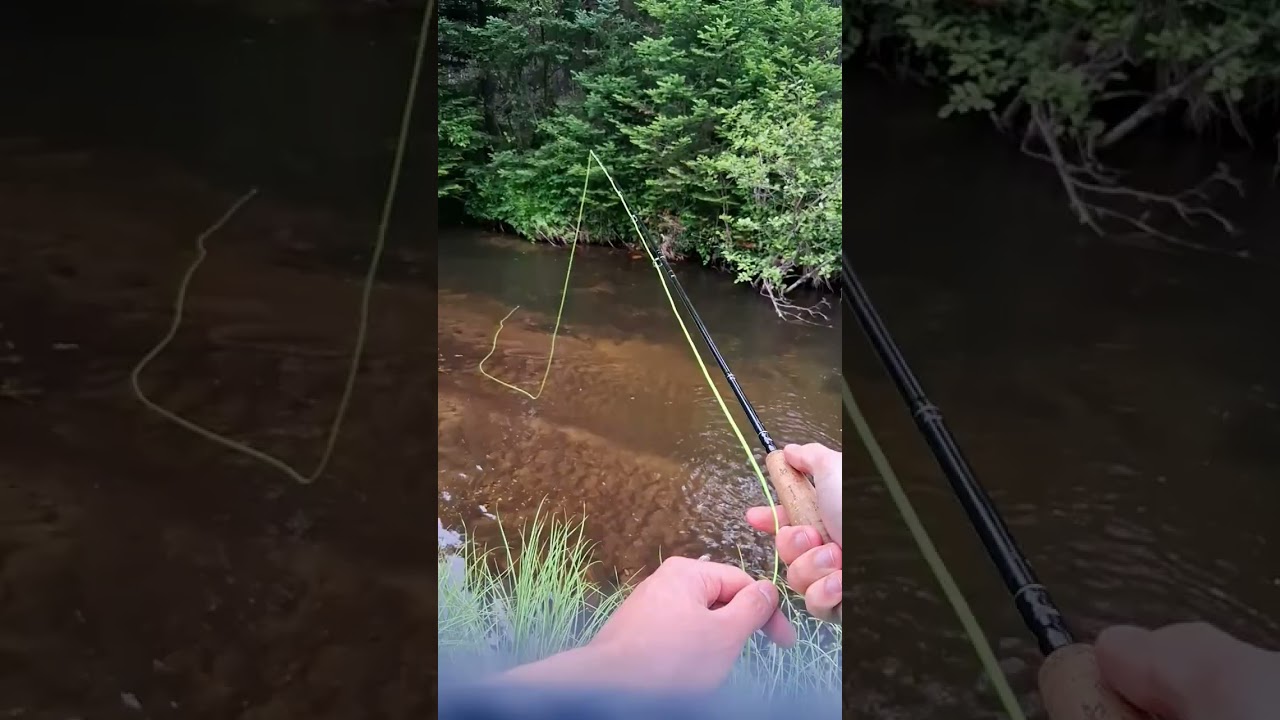 Fly Fishing Pine River