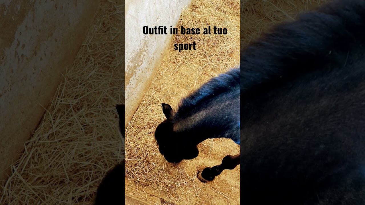altri sport?