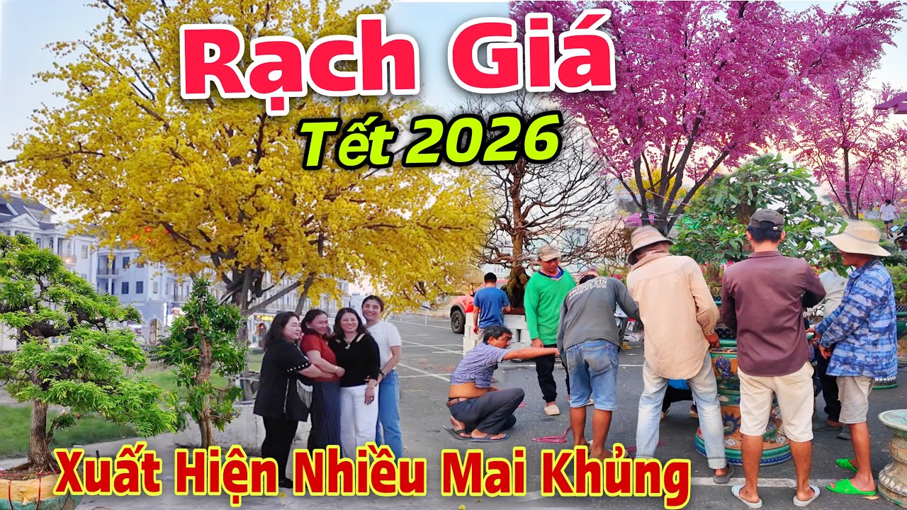 Rạch Giá Rực Rỡ - Xuất Hiện Nhiều Mai Khủng, Vườn Hoa Anh Đào Lớn Nhất Sắp Hoàn Thành | Lâm Ái 68