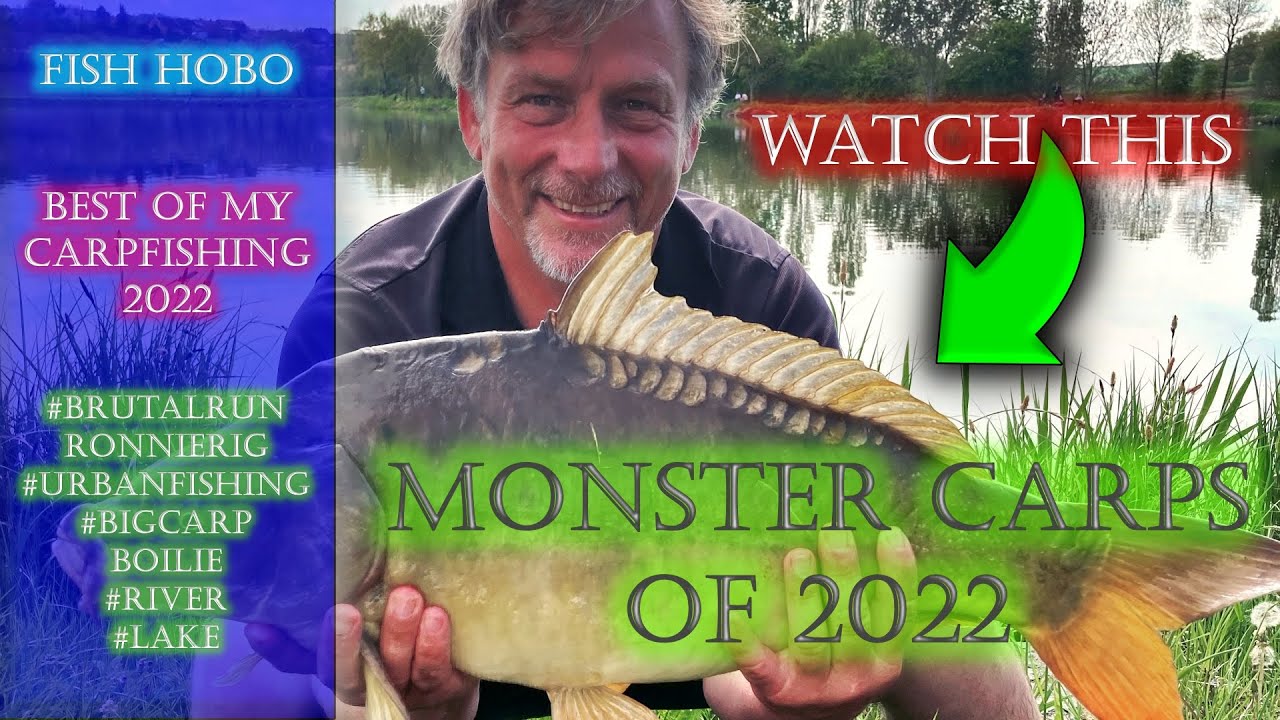 Top 10 carp run fishing 2022 łowienie karpi karpfen ageln dziesięć najlepszych ujęć karpia 