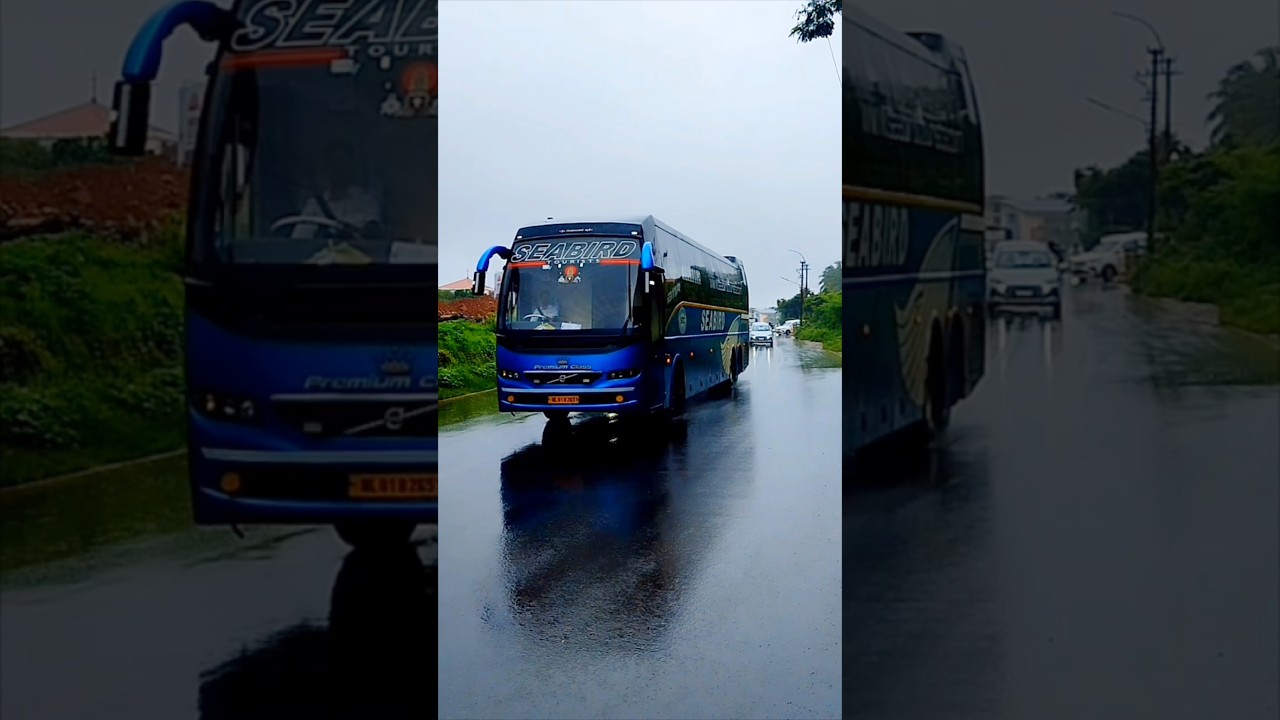 SEABIRD | Volvo B11R 9400 sleeper | Bengaluru⇄Goa #bus #viral #tourist #travels #volvobus #volvo9400