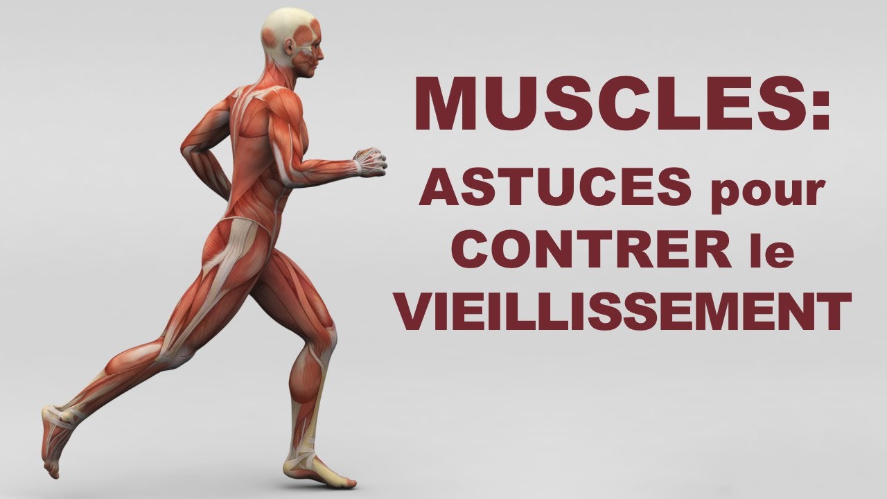 Avancée en âge et vieillissement: des astuces pour garder ses muscles en santé