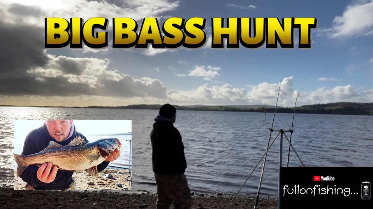 BIG BASS HUNT. On the hunt for some MONSTERS! Devon UK Angling 2022. River EXE.