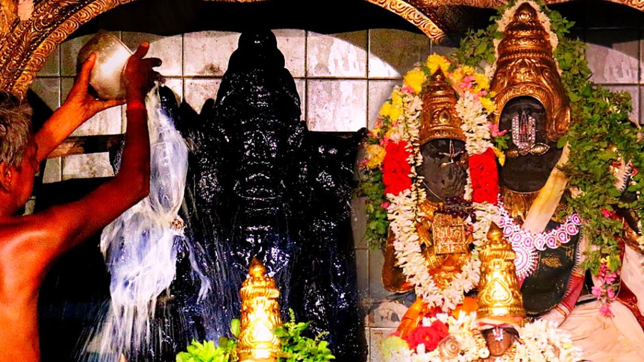 ஸ்ரீ லக்ஷ்மி நரசிம்மர் பெருமாள் கோவில் அபிஷேக தரிசனம் | Sri lakshmi Narasimha Perumal Temple 