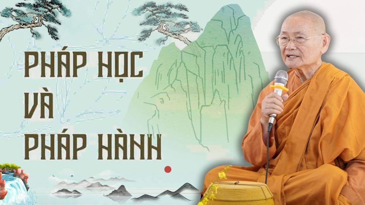 Pháp Học Và Pháp Hành Khác Nhau Ở Chỗ Nào | Thầy Viên Minh