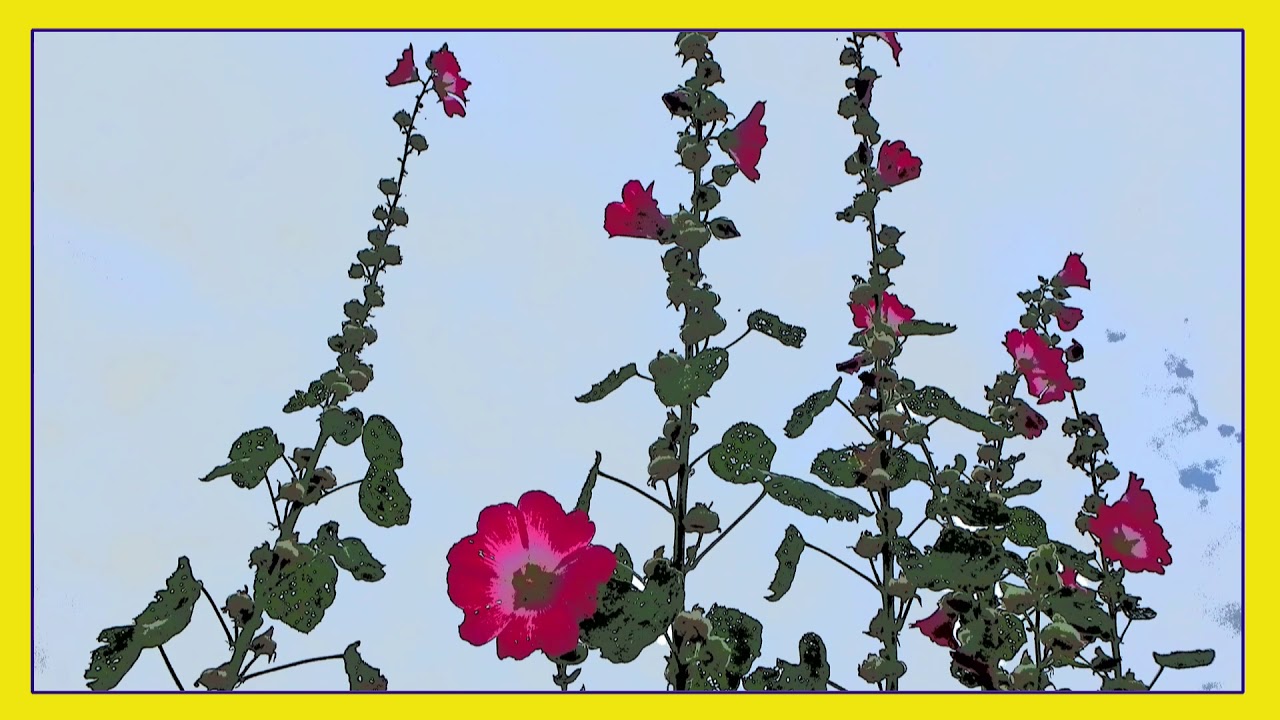 Repos au jardin. Rest in the garden. Tyros 4 .Mx49.2018.
