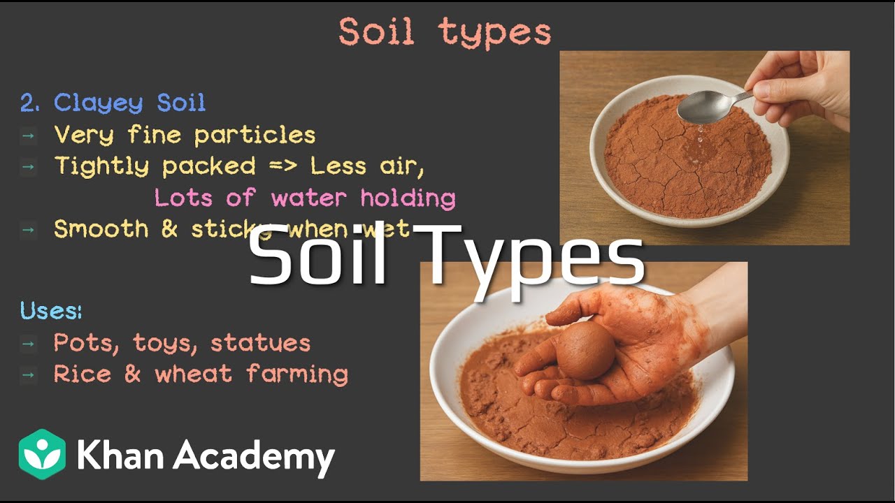 Soil Types | Soil  | Grade 7 | Science | Khan Academy