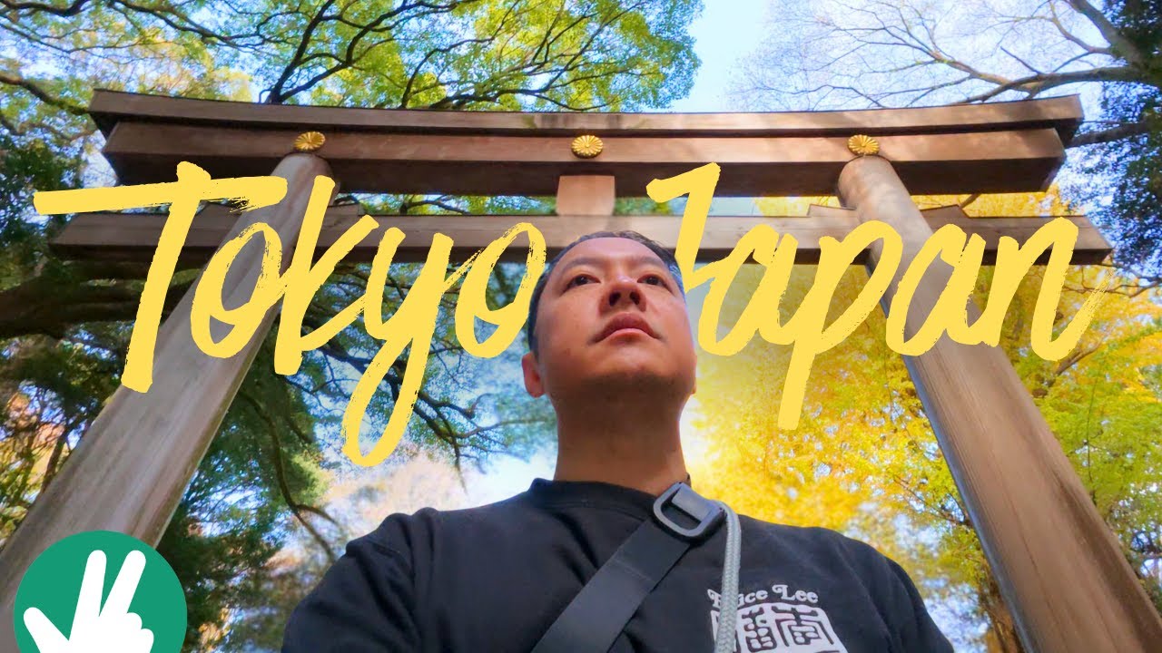 7 дней в Токио (с DJI Osmo Nano и Panasonic S9)