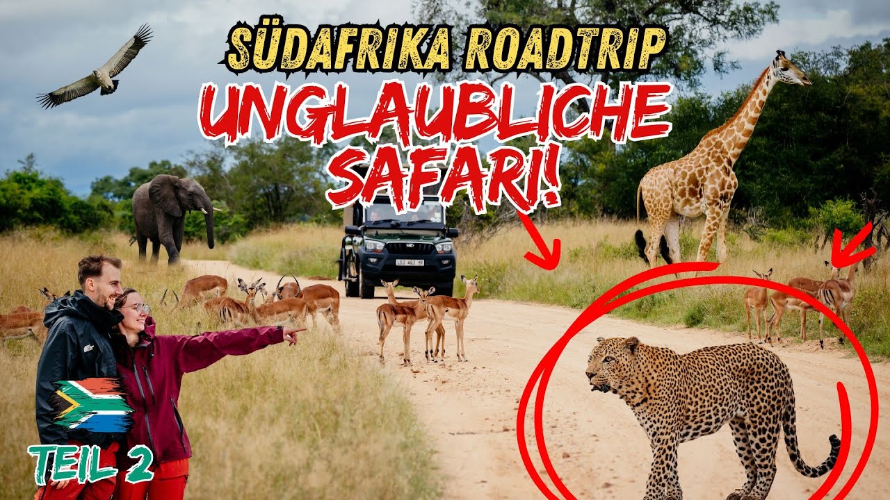 Krüger Safari: Raubkatzen hautnah & gefährlicher Elefant!😱 Südafrika Roadtrip @journaway  Teil 2