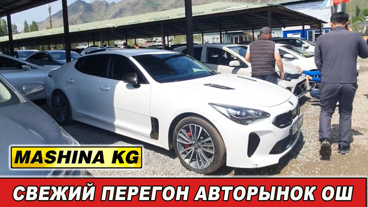 АВТОРЫНОК ОШ👍КИА К3/ КАМРИ/ ЛЕКСУС/ К5/ К7/ САНТА ФЕ/ СПОРТЕЙДЖ/ СОНАТА/ СОРЕНТО