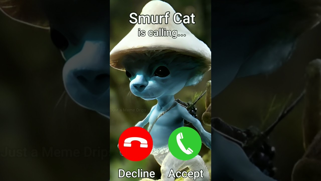 Smurf cat is calling...