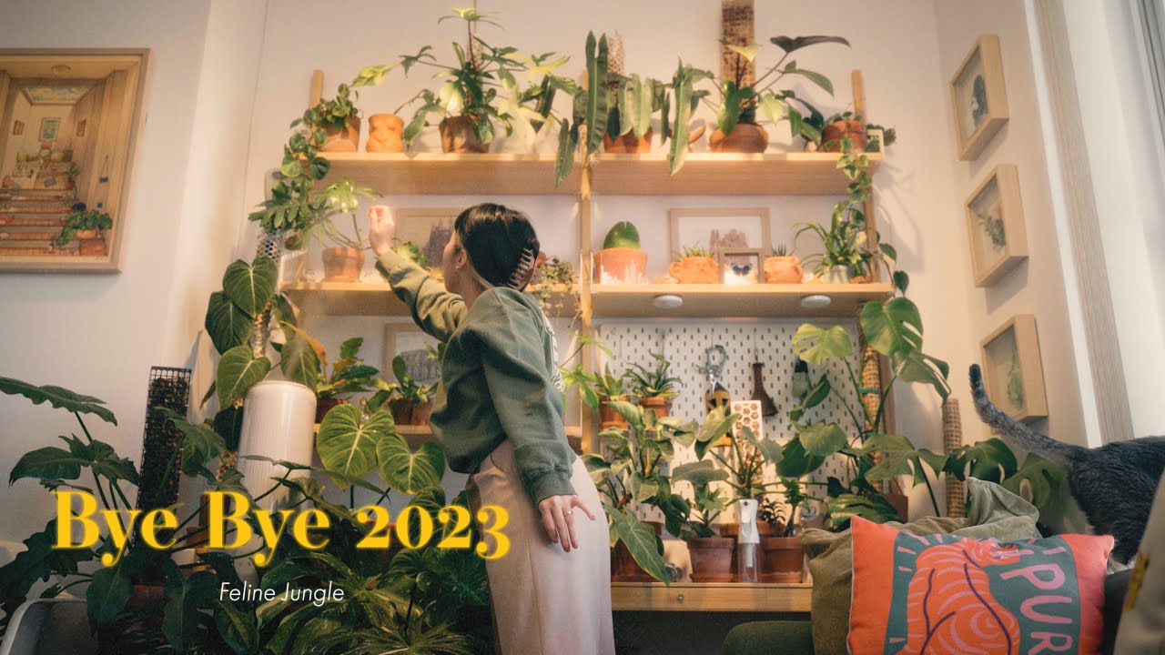 Year-end Plant Tour🌱 Indoor Jungle Home Updates 2023!