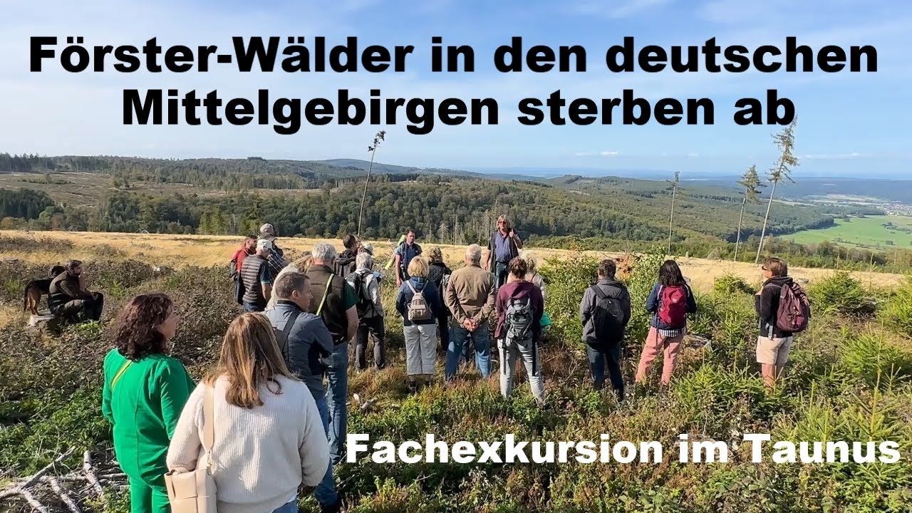 F&ouml;rster W&auml;lder in den deutschen Mittelgebirgen sterben ab &ndash; Fachexkursion im Taunus
