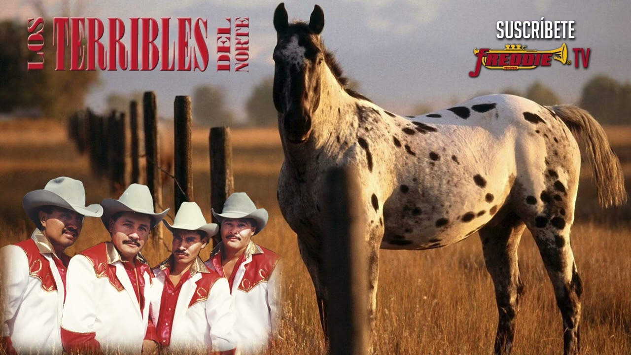 Los Terribles Del Norte - Puros Corridos Pesados Y Terribles // MIX