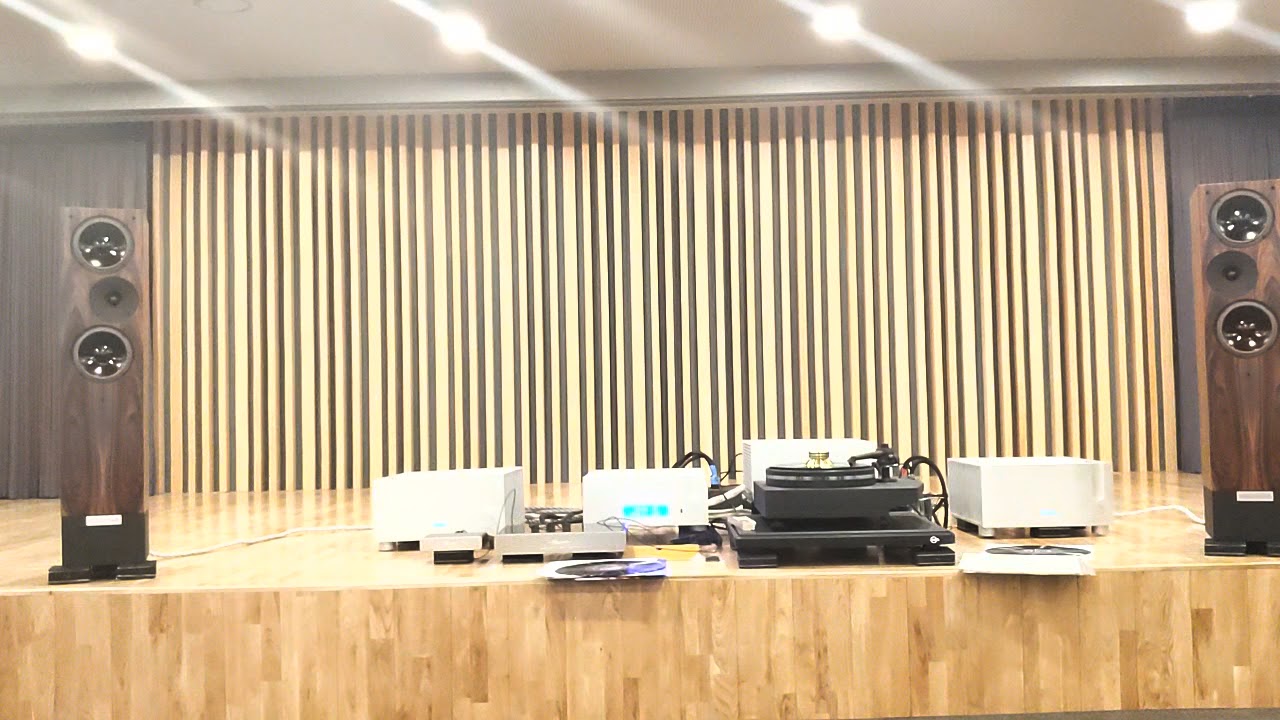 19 LivingVoice IBX-R3 + Kuzma Stabi R + Ypslon VPS -100 + PST-100MK II + AELIUS II Monoblock