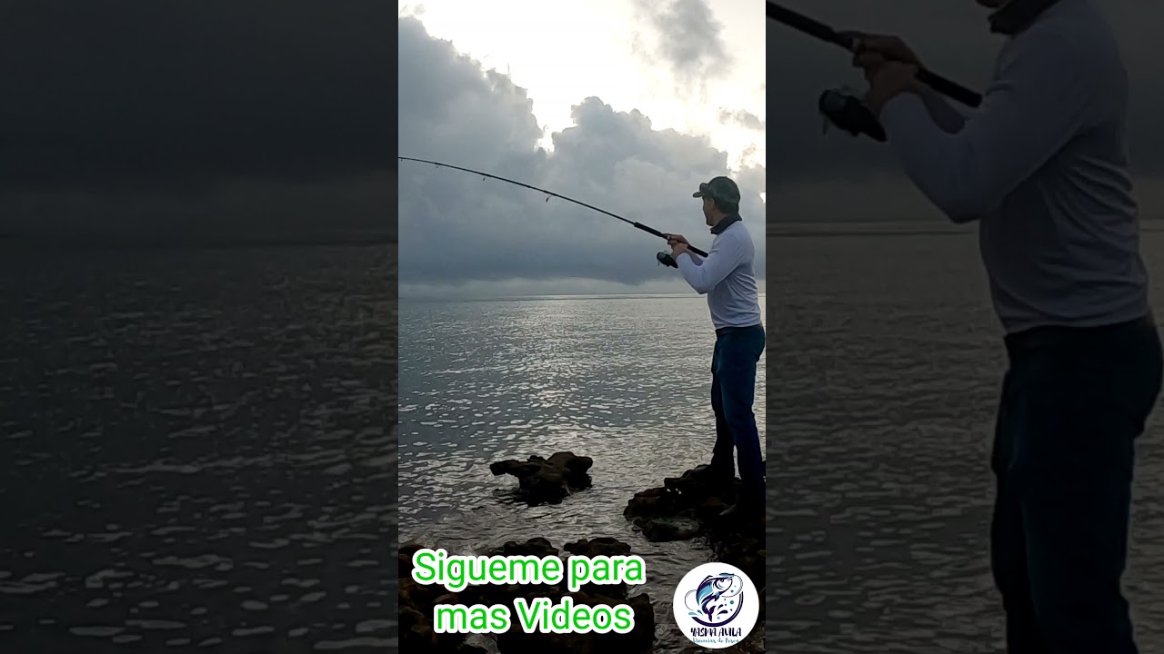 Popper Super Matador