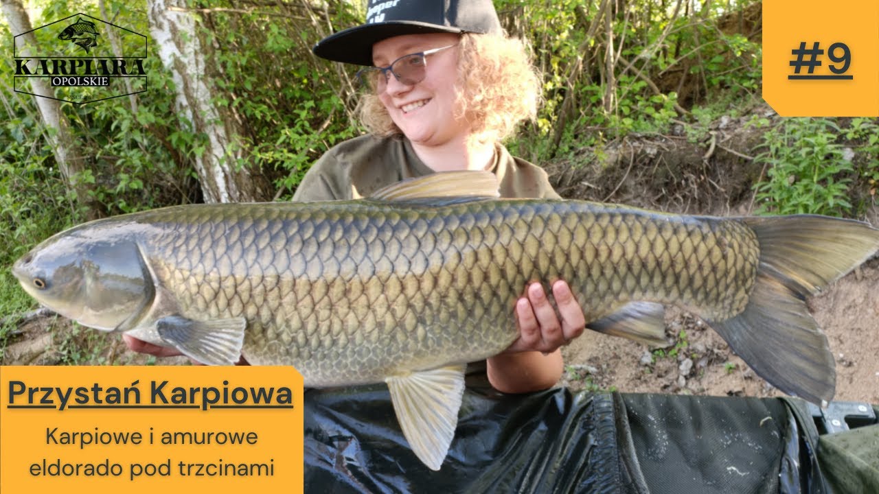#9 Przystań Karpiowa - karpiowe i amurowe eldorado pod trzcinami