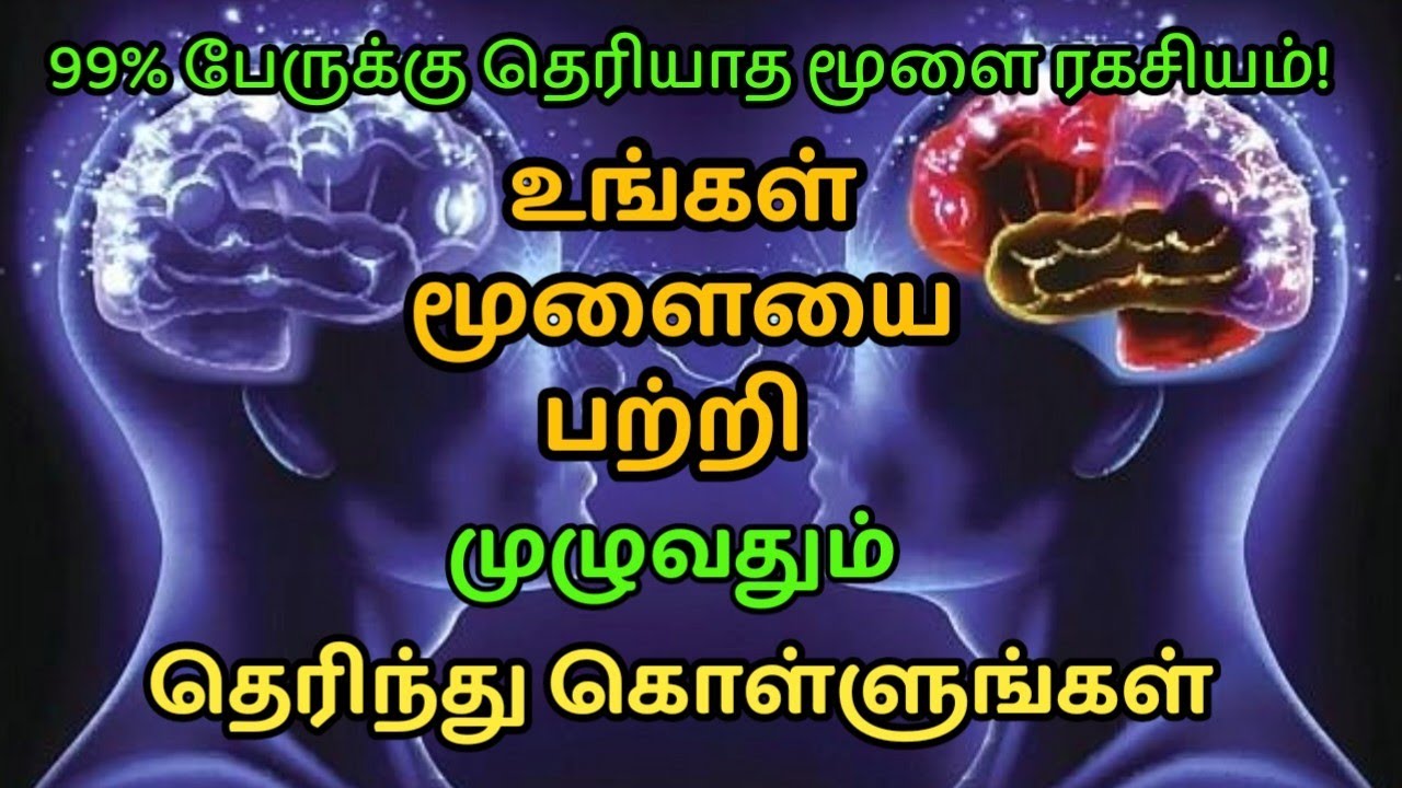 🔥99% பேருக்கு தெரியாத மூளையின் ரகசிய சக்தி! | Activate Your Brain Power | Tamil Motivation