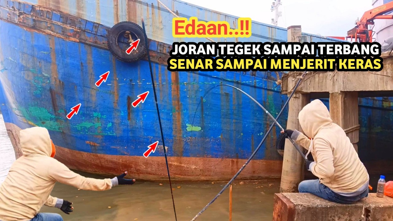 Mancing Ikan Baronang, Joran Tegek Nyaris Jadi Korban
