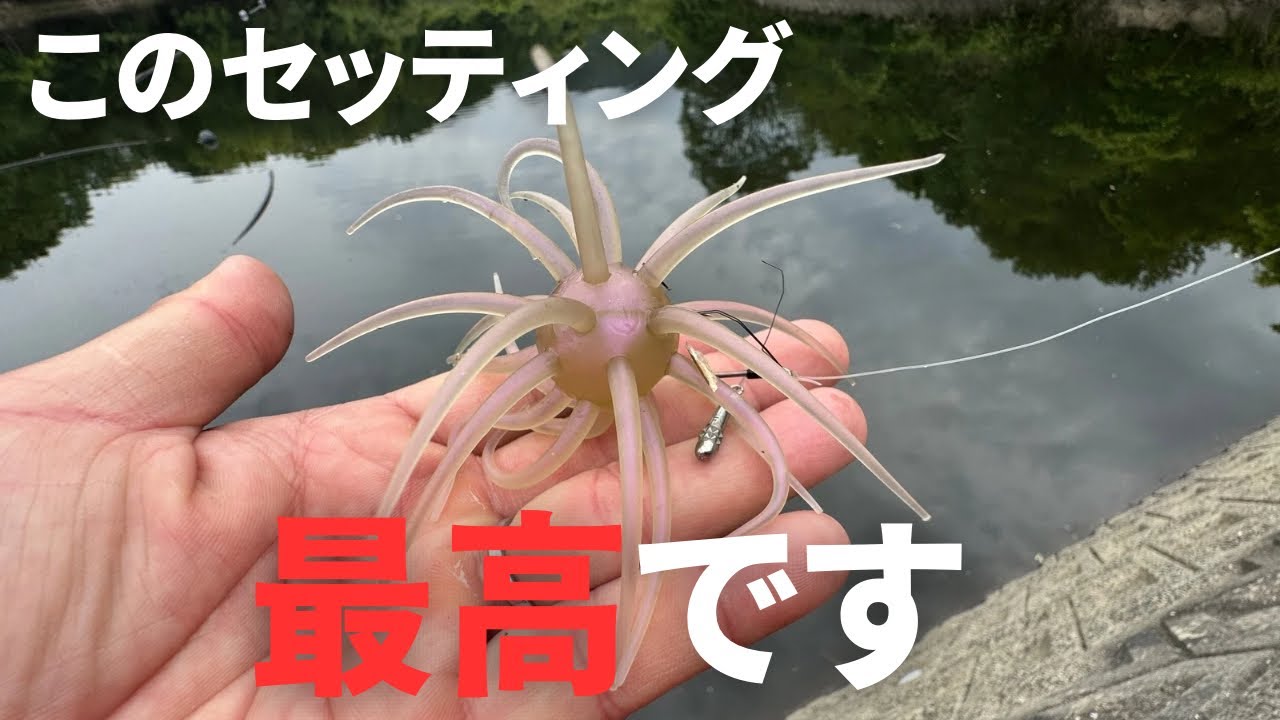 【バス釣り】コイケフルキャスト【ソフトマテリアル】の釣れる使い方はコレだ！今のシーズンに最適な釣りかたを実釣しながら解説します。【ハイドアップ】【2025年最新ルアー】【人気ルアー】