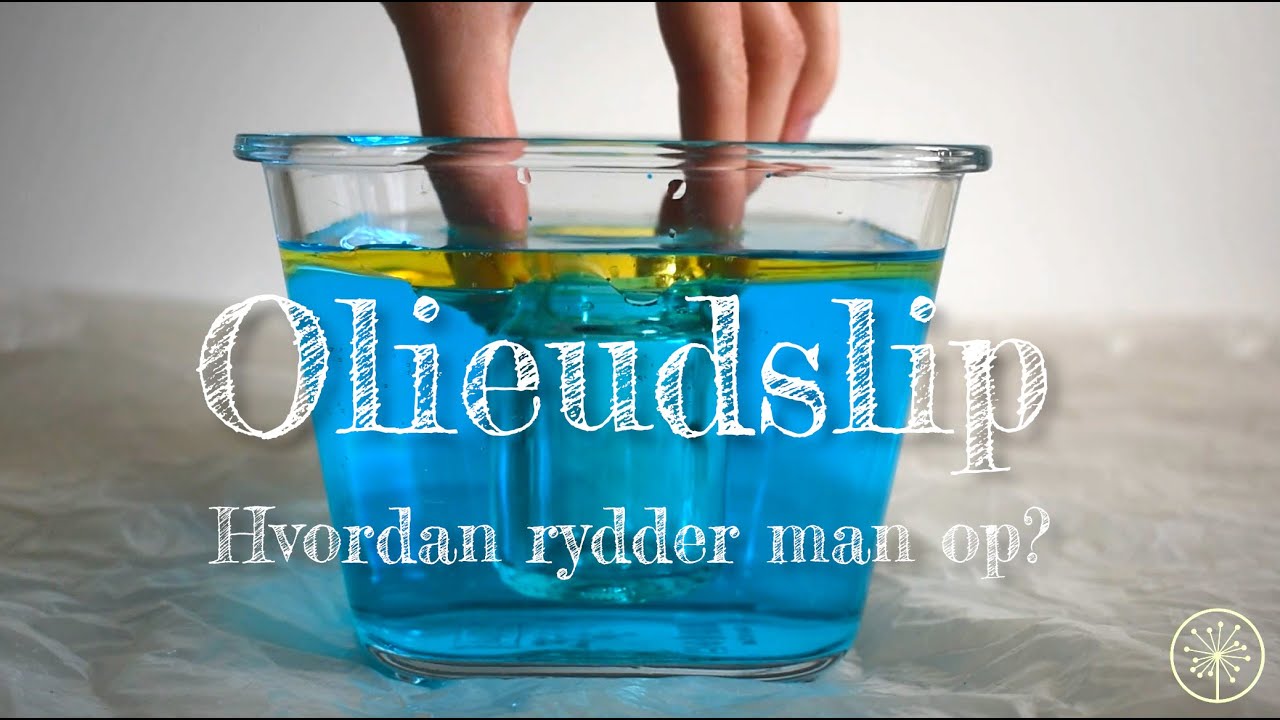Olieudslip - hvordan rydder man op?
