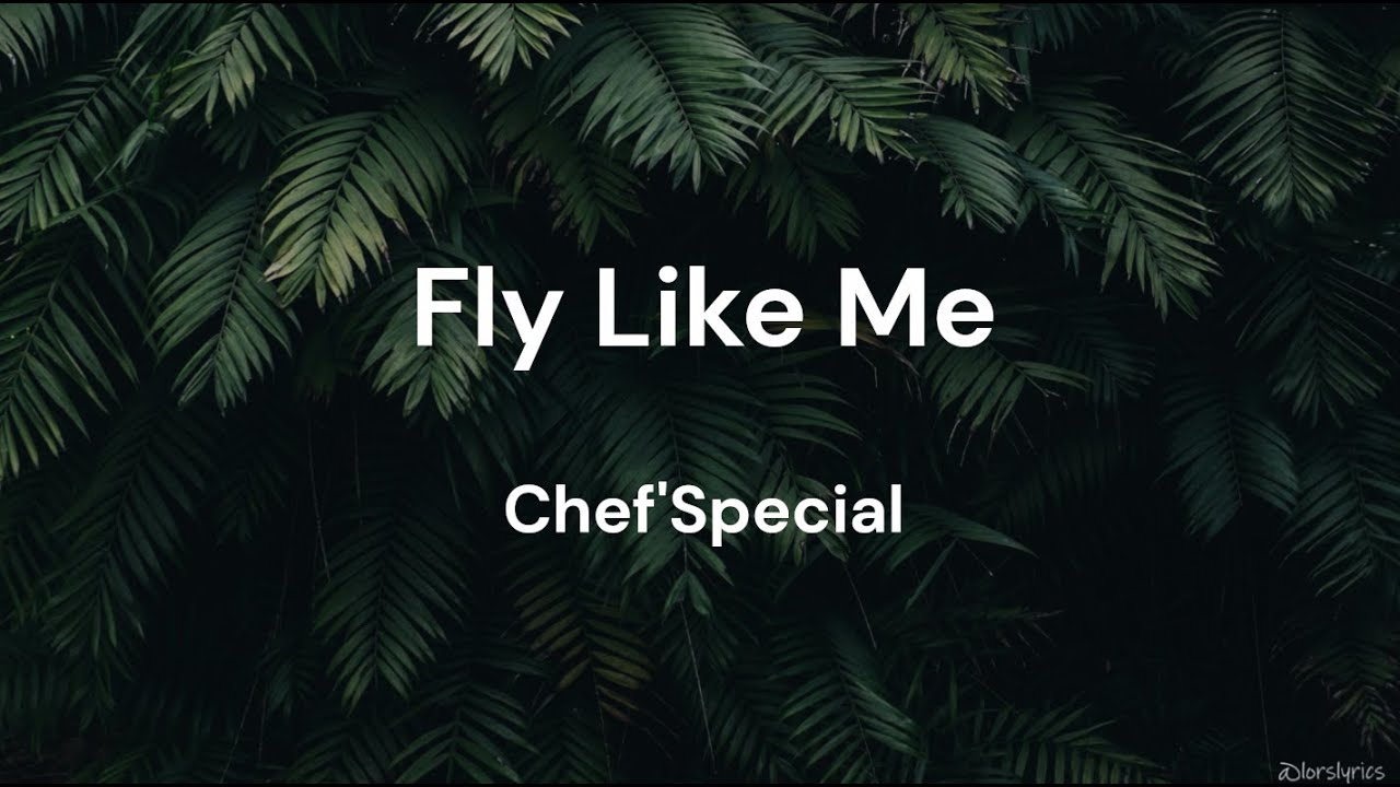 Fly Like Me - Chef'Special LYRICS