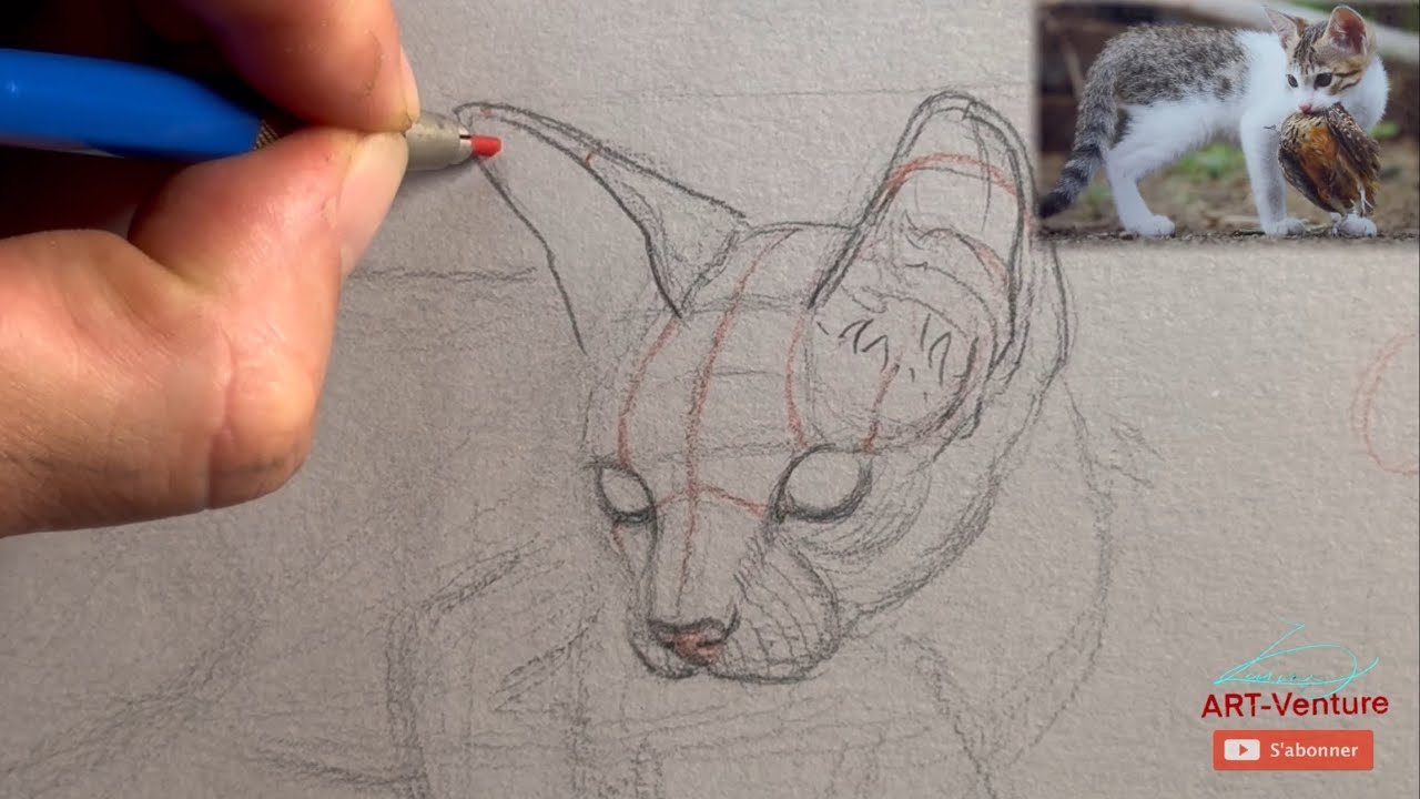 Как нарисовать КОТА 🐈