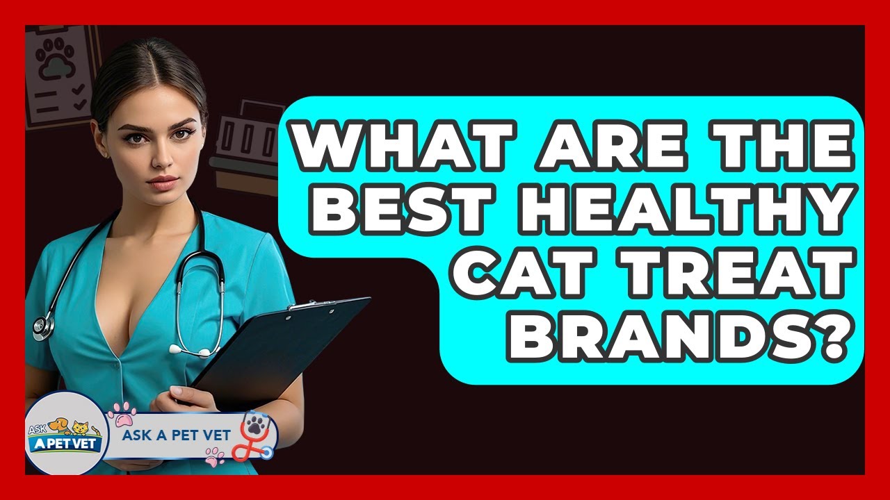 What Are The Best Healthy Cat Treat Brands? - Ask A Pet Vet